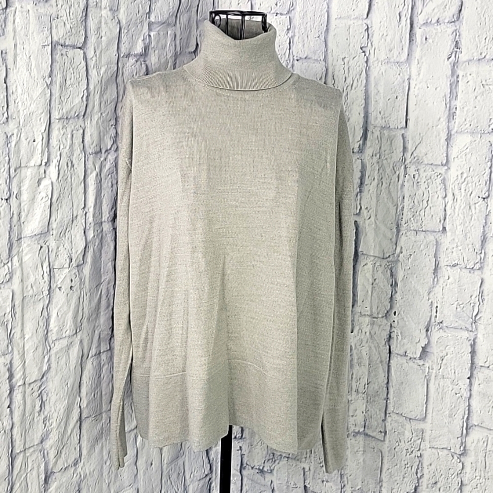 Everlane Gray Turtleneck Sweater
